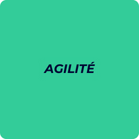 agilite_gomind